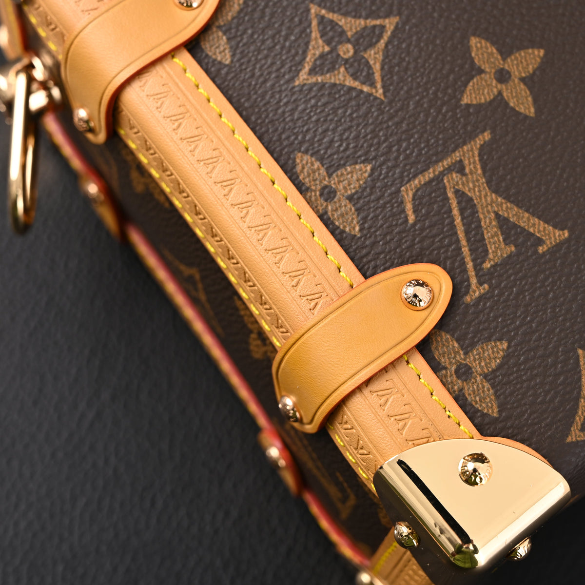 Louis Vuitton Cannes Trunk Bag – Monogram Canvas with Gold-Tone Hardware