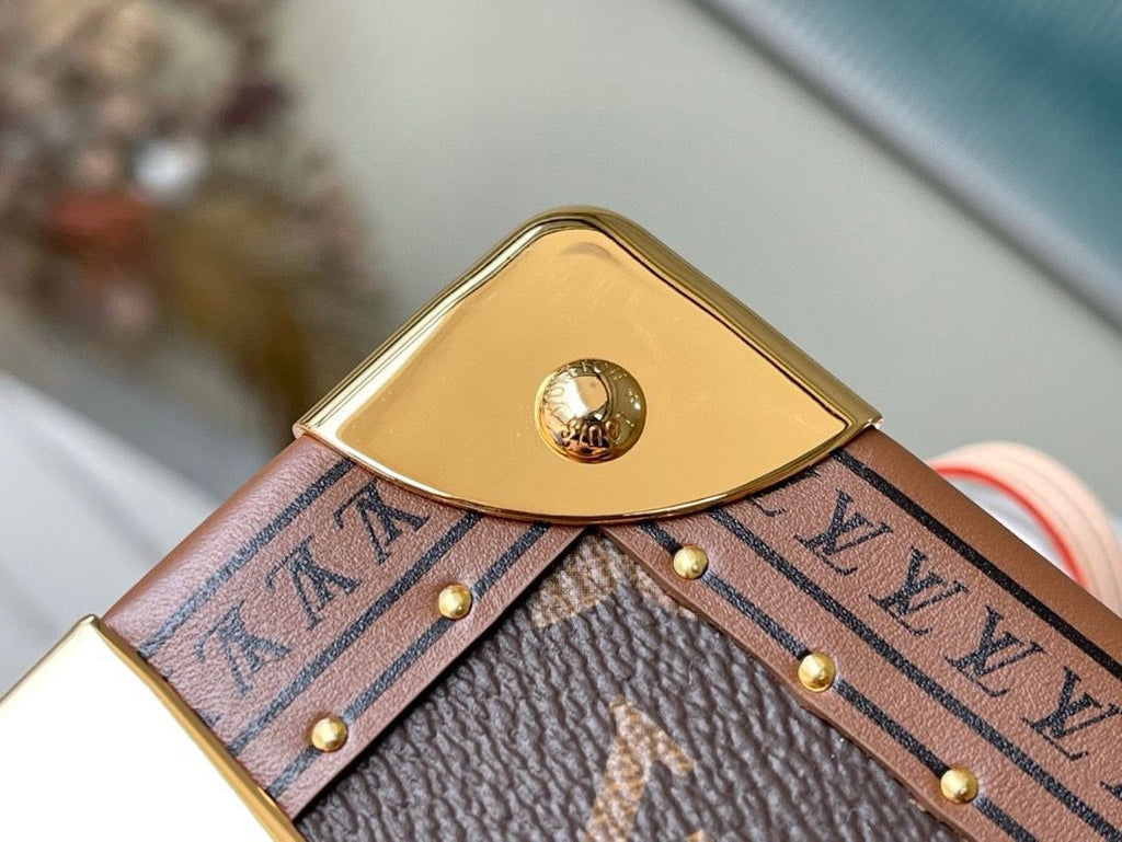 Louis Vuitton monogram box bag